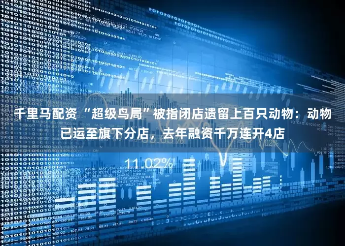 千里马配资 “超级鸟局”被指闭店遗留上百只动物：动物已运至旗下分店，去年融资千万连开4店